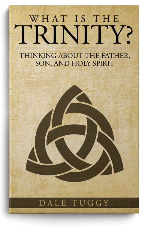 What is the Trinity? By Dale Tuggy - book cover